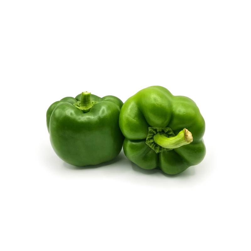 Capsicum-Green /బెంగళూరు మిరపకాయ (Beṅgaḷūru mirapakāya)
