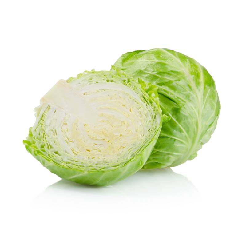 FRESH Cabbage Regular