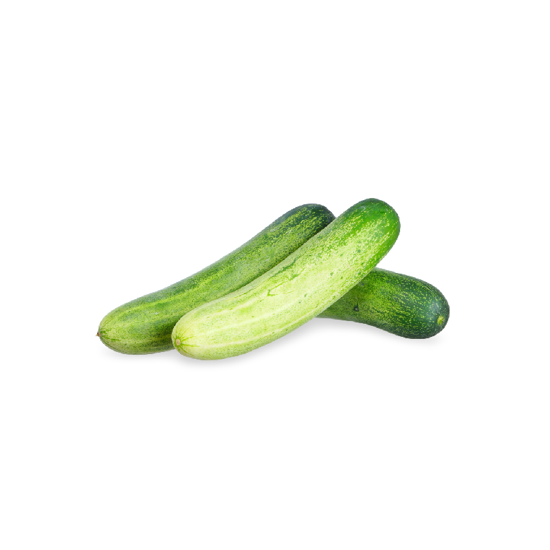 Cucumber/కీరదోసకాయ" (keeradosakaya)