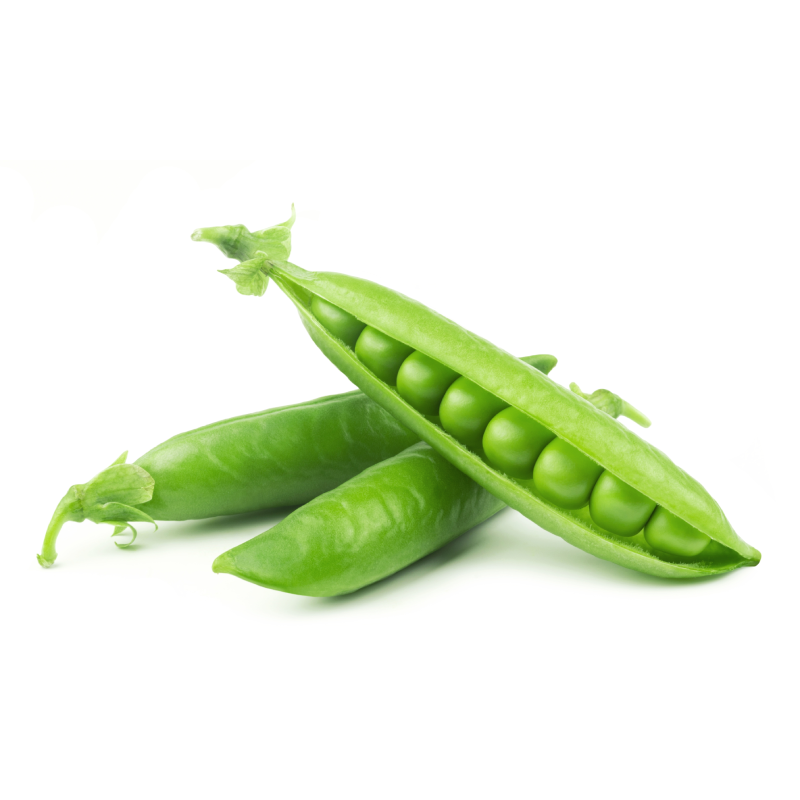 Green Peas (Motorsuti) /Pachi Batani (పచ్చి బఠానీ) 