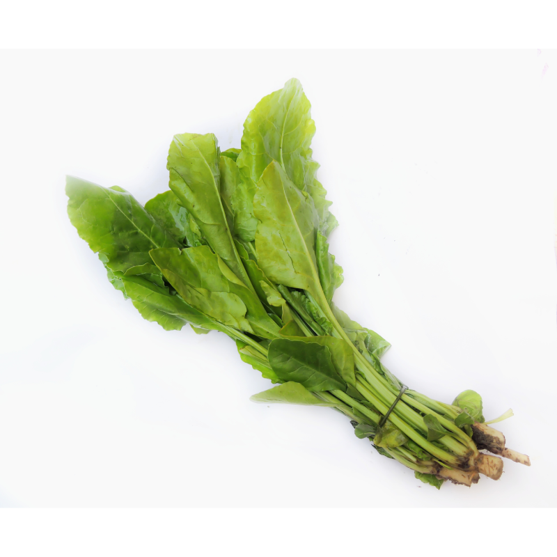 Spinch (Palang Saakh) /Palakura (పాలకూర)