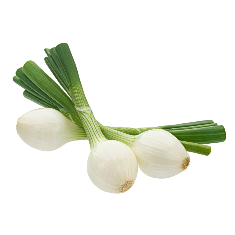 Spring Onion /Ullipaya Aaku (ఉల్లిపాయ ఆకు) or Ulli Paraka (ఉల్లి పరక)